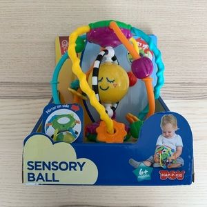 Baby Sensory Ball Toy